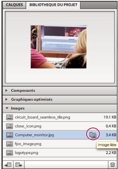 ADOBE FLASH CATALYST CS5.5 - Images intégrées et liées - 1