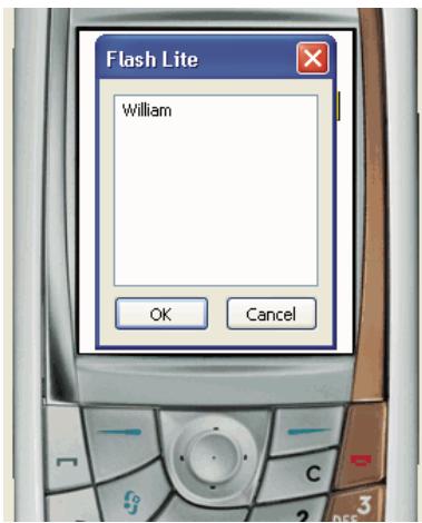 ADOBE FLASH LITE 1 - Pour creer un exemple d'application de champ texte : - 3