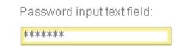 ADOBE FLASH LITE 1 - Types de champs texte de saisie - 4