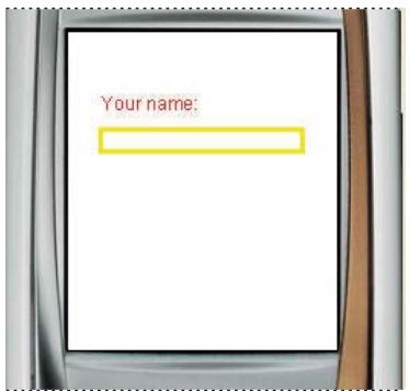 ADOBE FLASH LITE 1 - A propos du rectangle de focus - 3