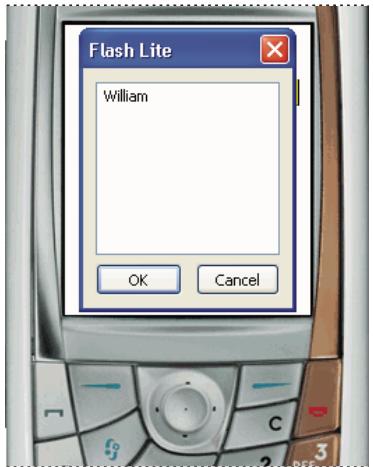 ADOBE FLASH LITE 1 - Utilisation des champs texte de saisie - 2