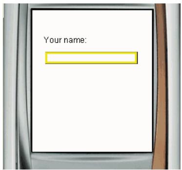 ADOBE FLASH LITE 1 - Champs texte de saisie et rectangle de focus - 1