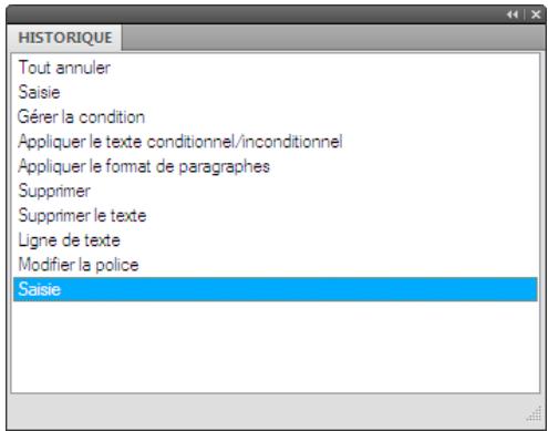 ADOBE FRAMEMAKER 9 - Panneau Historique - 1