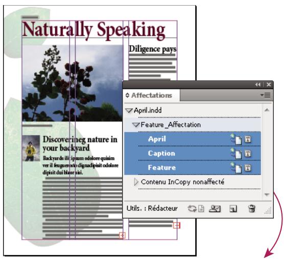 ADOBE INCOPY CS4 - Ouverture de fichiers d'affectation créés dans InDesign - 1