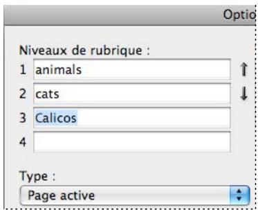 ADOBE INDESIGN CS4 - Pour ajouter une entrée d'index - 2