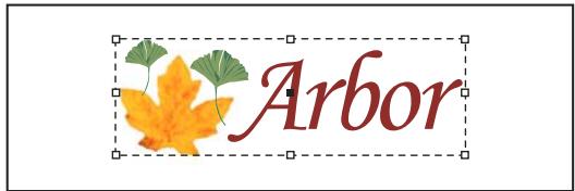 ADOBE INDESIGN CS4 - Association ou dissociation d'objets - 1