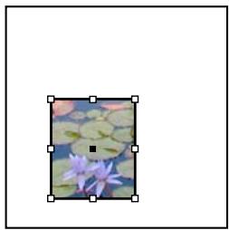 ADOBE INDESIGN CS4 - Recadrage ou masquage d'objets - 2