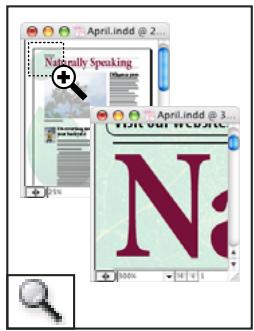 ADOBE INDESIGN CS4 - Galerie d'outils de modification et de navigation - 7