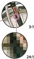 ADOBE INDESIGN CS4 - A propos des images bitmap - 2