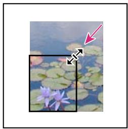 ADOBE INDESIGN CS4 - Recadrage ou masquage d'objets - 1