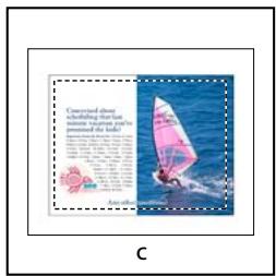 ADOBE INDESIGN CS4 - Options d'importation Acrobat (.pdf) et Illustrator (.ai) - 4