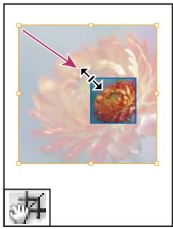 ADOBE INDESIGN CS4 - Galerie d'outils de sélection - 3