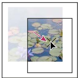 ADOBE INDESIGN CS4 - Déplacement d'un bloc graphique ou de son contenu - 4