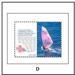 ADOBE INDESIGN CS4 - Options d'importation Acrobat (.pdf) et Illustrator (.ai) - 5