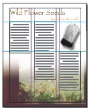 ADOBE INDESIGN CS4 - Rectification automatique de la mise en page - 1