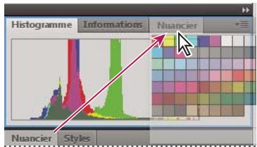 ADOBE INDESIGN CS4 - Manipulation de groupes de panneaux - 1