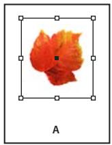 ADOBE INDESIGN CS4 - Création d'une bordure ou d'un arrière-plan - 1
