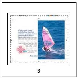 ADOBE INDESIGN CS4 - Options d'importation Acrobat (.pdf) et Illustrator (.ai) - 3