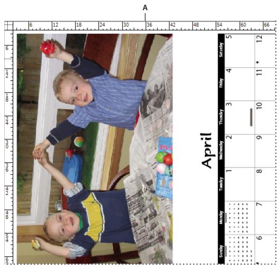 ADOBE INDESIGN CS5 - Affichage avec rotation de la planche - 1