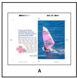 ADOBE INDESIGN CS5 - Options d'importation acrobat (. pdf) et illustrator (. ai) - 1