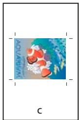 ADOBE INDESIGN CS5 - Spécification de la taille de papier et de l'orientation de la page - 3