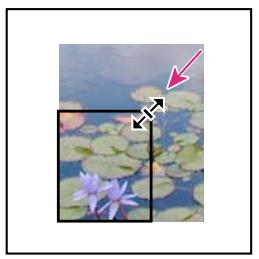 ADOBE INDESIGN CS5 - Recadrage ou masquage d'objets - 1
