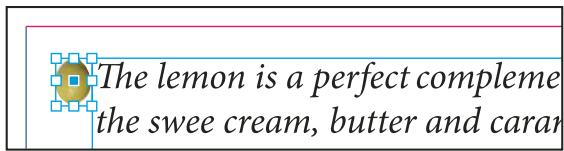 ADOBE INDESIGN CS5 - Options de position personnalisées - 1