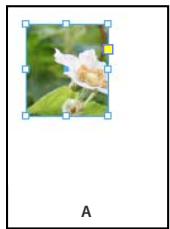 ADOBE INDESIGN CS5 - Pour ajuster un objet à son bloc - 1