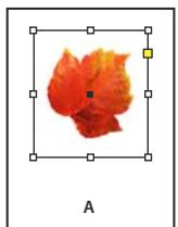 ADOBE INDESIGN CS5 - Création d'une cordure ou d'un arrêté-plan - 1