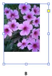 ADOBE INDESIGN CS5 - Redimensionnement d'objets - 2