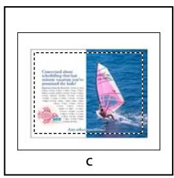 ADOBE INDESIGN CS5 - Options d'importation acrobat (. pdf) et illustrator (. ai) - 3