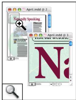 ADOBE INDESIGN CS5 - Galerie d'outils de modification et de navigation - 7