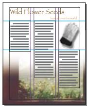 ADOBE INDESIGN CS5 - Rectification automatique de la mise en page - 1
