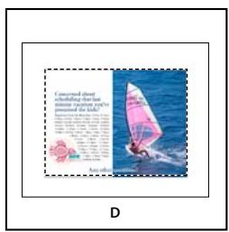 ADOBE INDESIGN CS5 - Options d'importation acrobat (. pdf) et illustrator (. ai) - 4