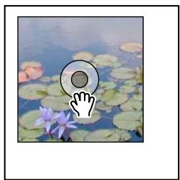 ADOBE INDESIGN CS5 - Déplacement d'un bloc graphique ou de son contenu - 2