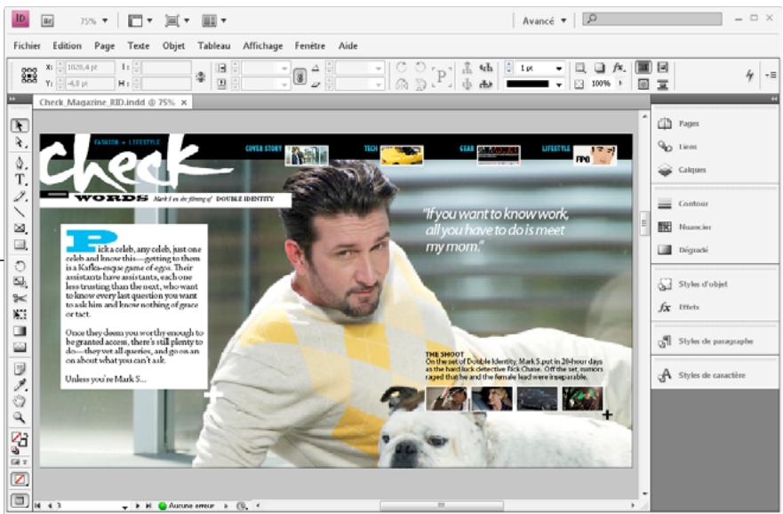 ADOBE INDESIGN CS5 - Création de fichiers FLA pour le web - 1