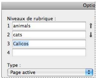 ADOBE INDESIGN CS5 - Pour ajouter une entrée d'index - 1