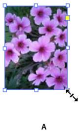 ADOBE INDESIGN CS5 - Redimensionnement d'objets - 1