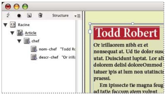 ADOBE INDESIGN CS5 - Mise en page du contenu - 3