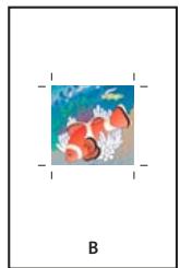 ADOBE INDESIGN CS5 - Spécification de la taille de papier et de l'orientation de la page - 2