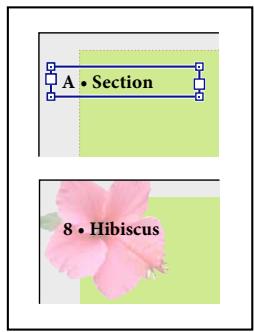 ADOBE INDESIGN CS5 - À propos des gabarits, de l'ordre de superposition et des calques - 2