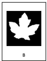 ADOBE INDESIGN CS5 - Recadrage d'un objet à l'aide d'un tracé ou d'une couche alpha - 2