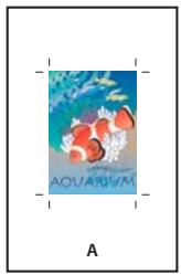ADOBE INDESIGN CS5 - Spécification de la taille de papier et de l'orientation de la page - 1