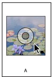 ADOBE INDESIGN CS5 - Sélection d'objets - 4