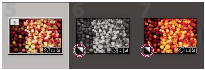 ADOBE LIGHTROOM 4 - Création de copies virtuelles - 1