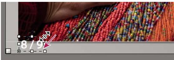 ADOBE LIGHTROOM 4 - Mise à l'échelle du texte et d'autres objets dans une diapo - 1