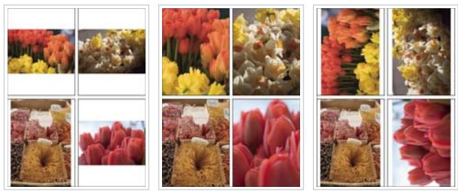 ADOBE LIGHTROOM 4 - Définition de la méthode de remplissage des cellules d'image avec les photos - 1