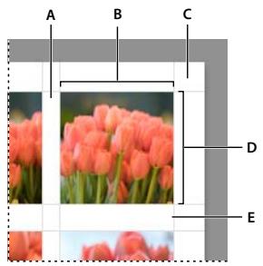 ADOBE LIGHTROOM 4 - Modification de la taille des cellules et des marges de page (disposition Une seule image/Planche contact) - 1