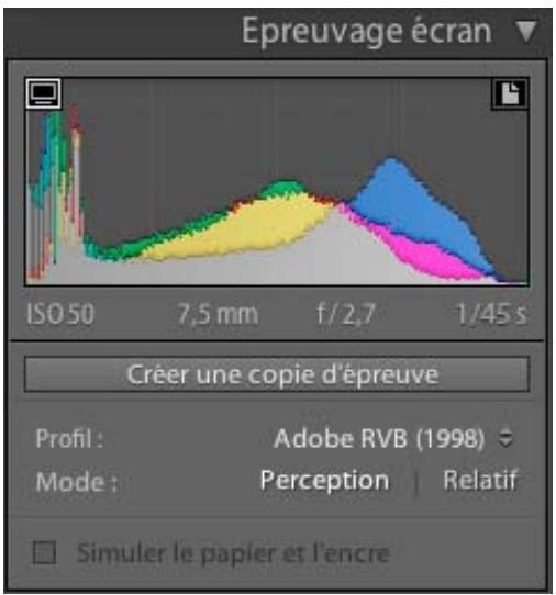 ADOBE LIGHTROOM 4 - Epreuvage à l'écran des images - 1