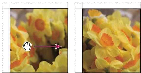 ADOBE LIGHTROOM 4 - Définition de la méthode de remplissage des cellules d'image avec les photos - 2